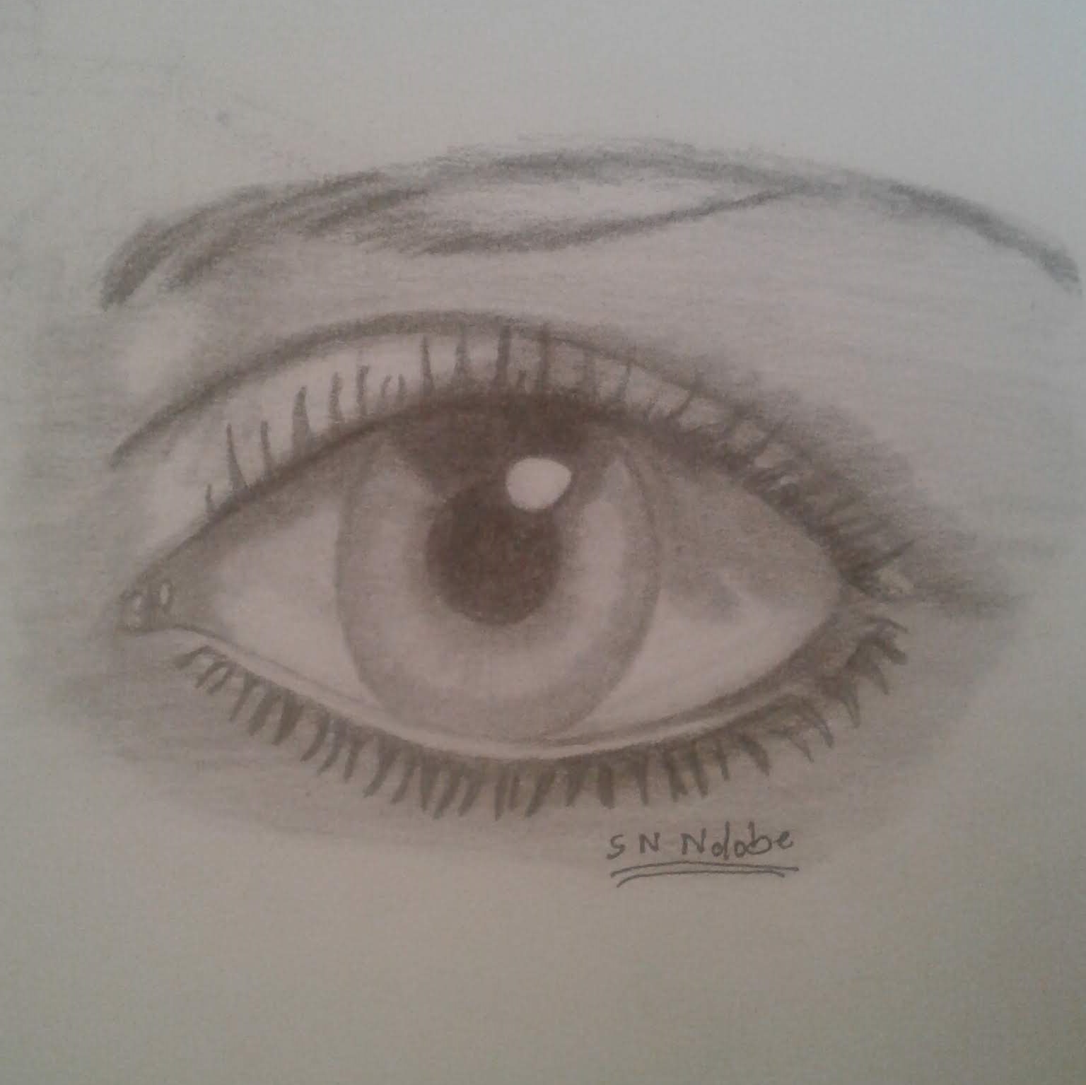 A pencil sketch of an eye